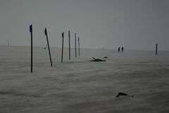 Wind und Strand