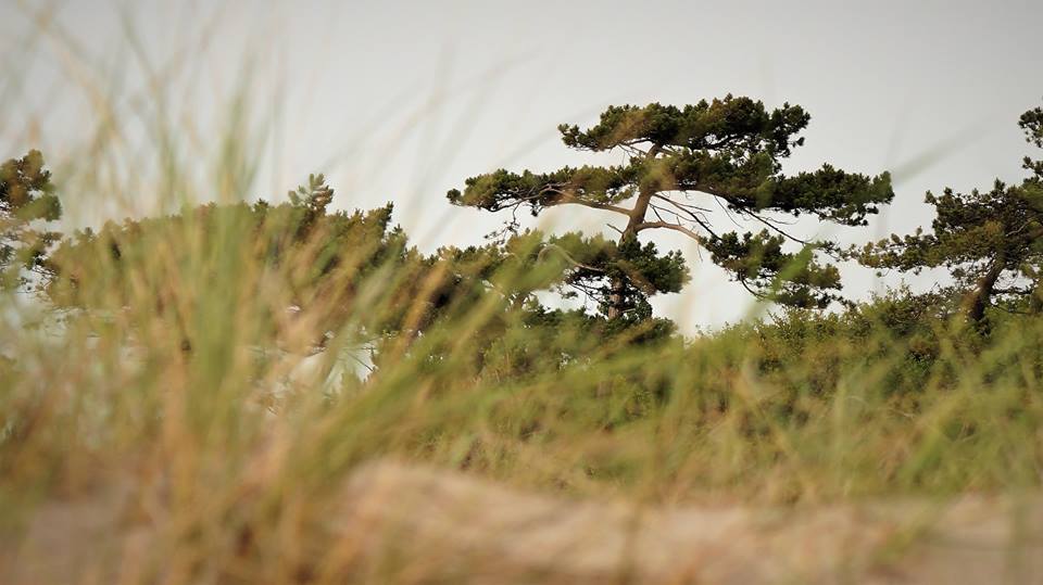 Wind und Wasser formen eine magische Landschaft