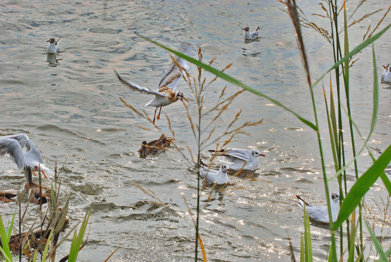 Wind und Wellen