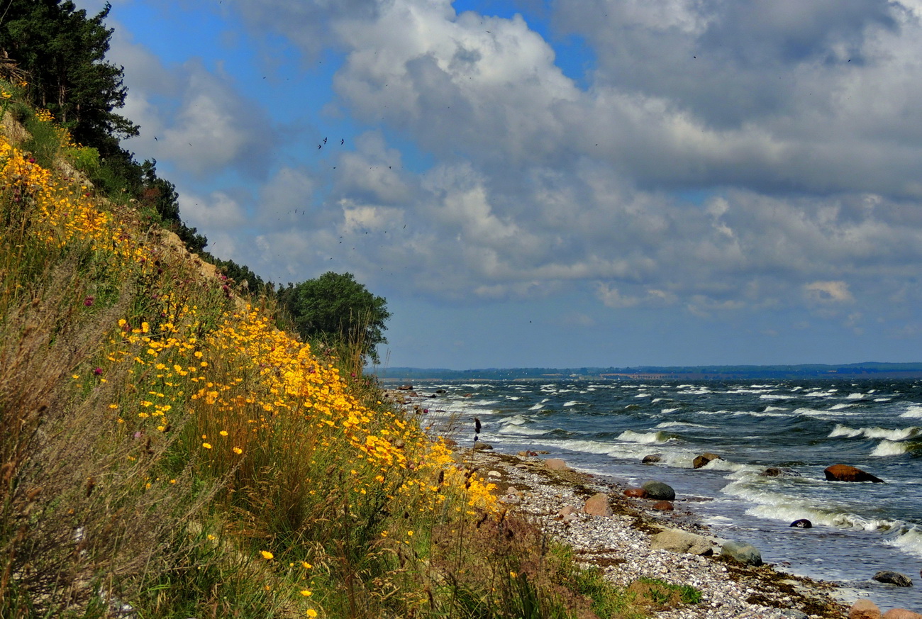 wind und wellen