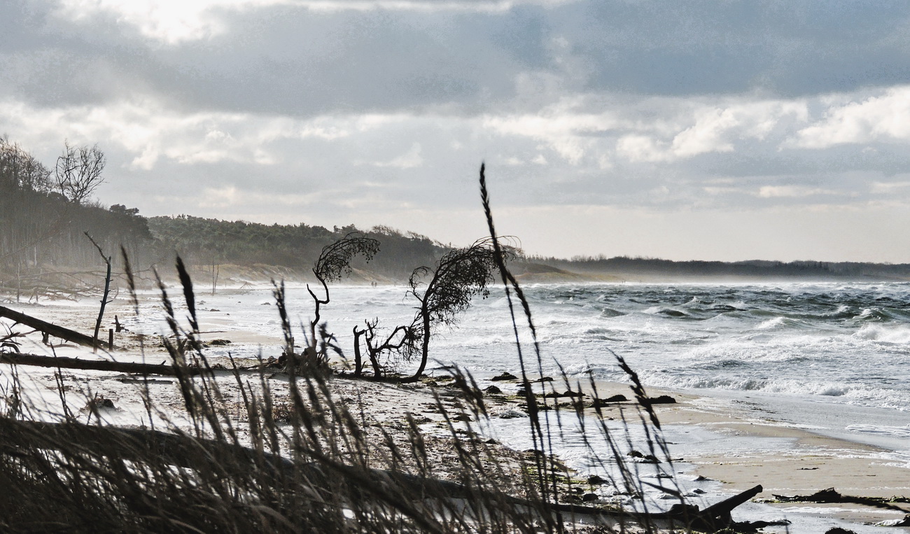 Wind und Wellen