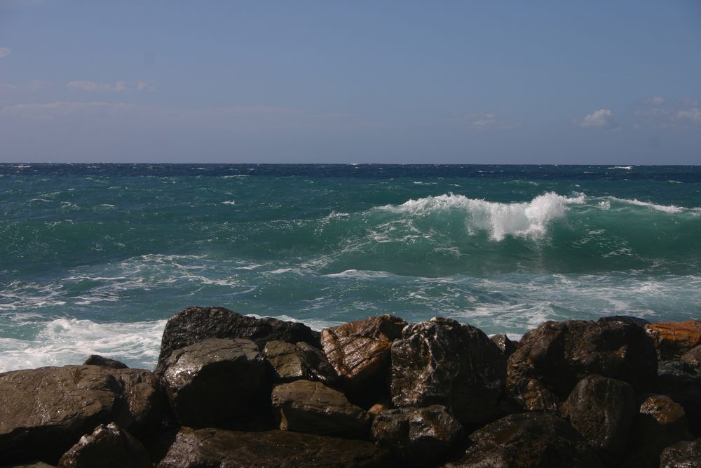 Wind und Wellen von Regina König