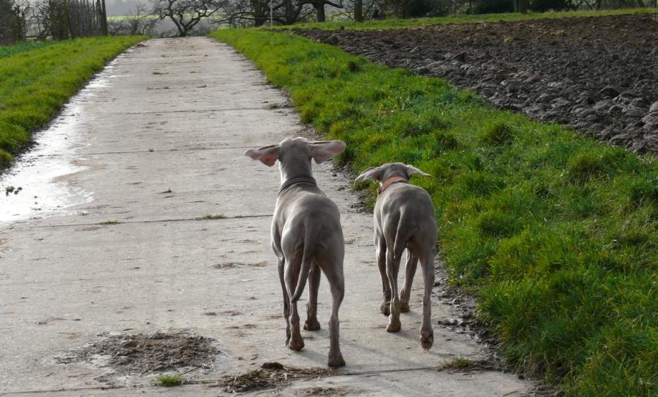 Wind und Wetter