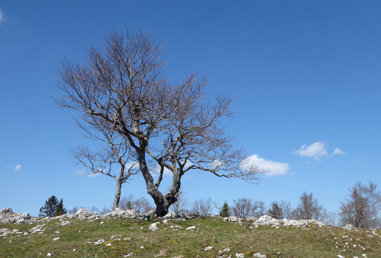 Wind und Wetter ausgesetzt