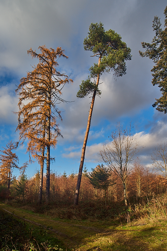 Wind und Wetter