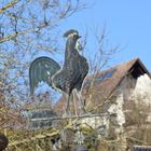 Wind-und Wetterhahn