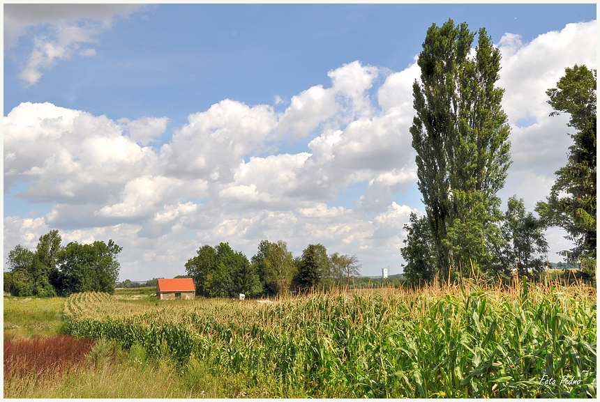 Wind und Wolken