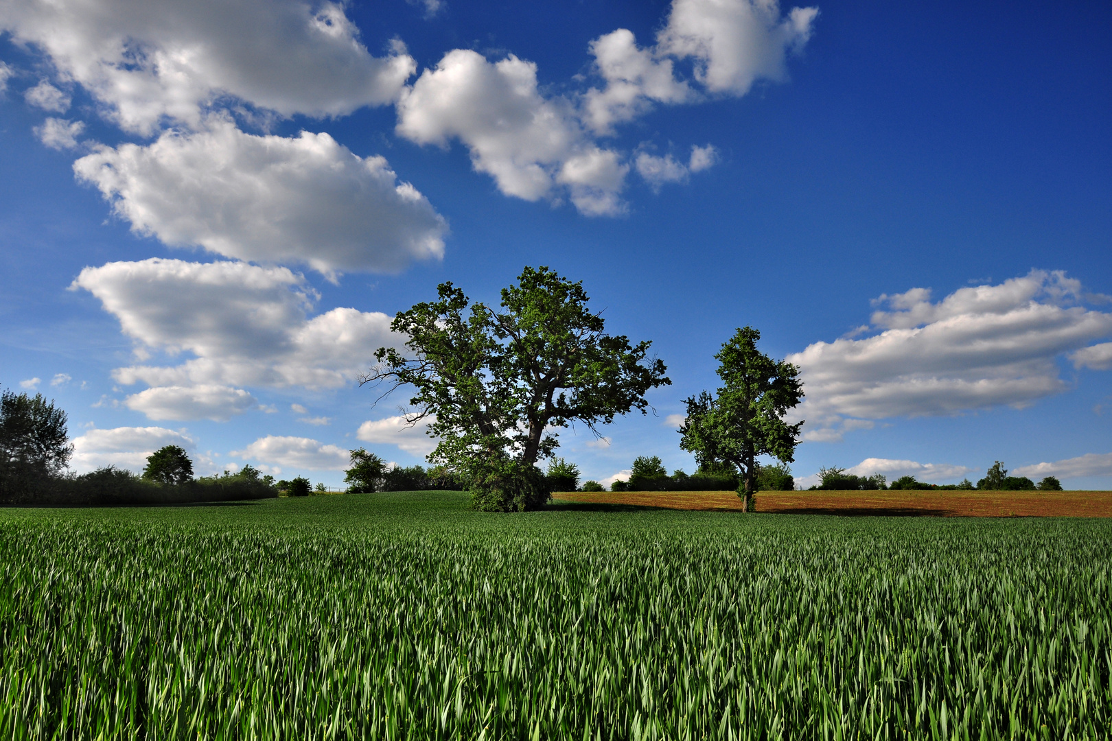 Wind und Wolken