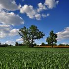 Wind und Wolken