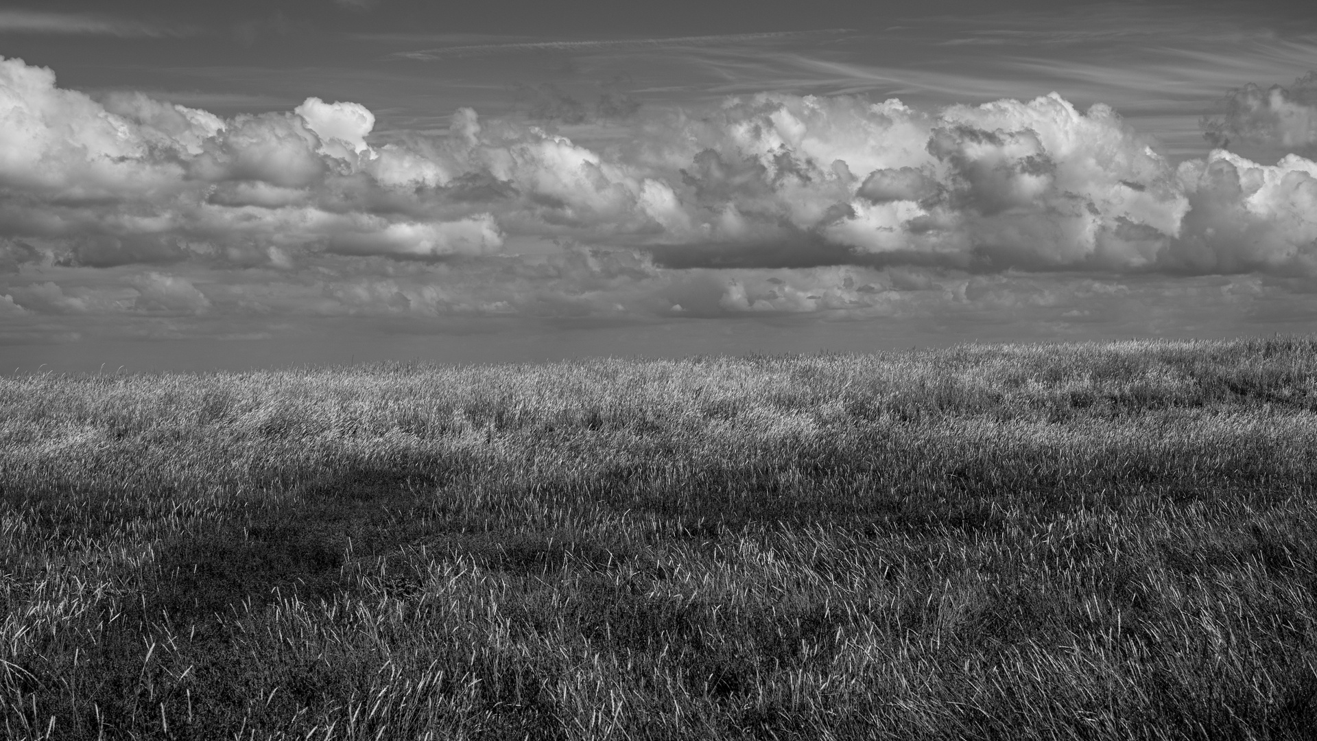 Wind und Wolken