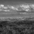 Wind und Wolken