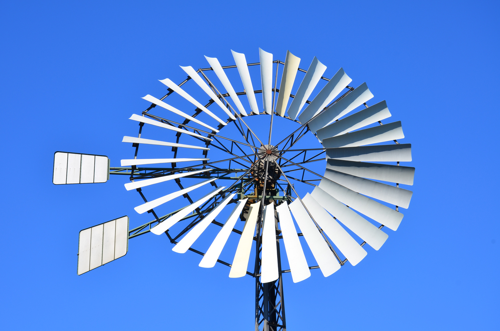 Wind unter den Flügeln