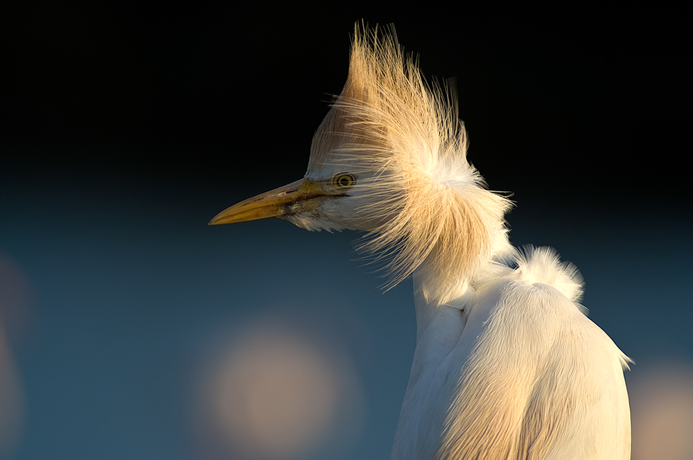 Wind von achtern...