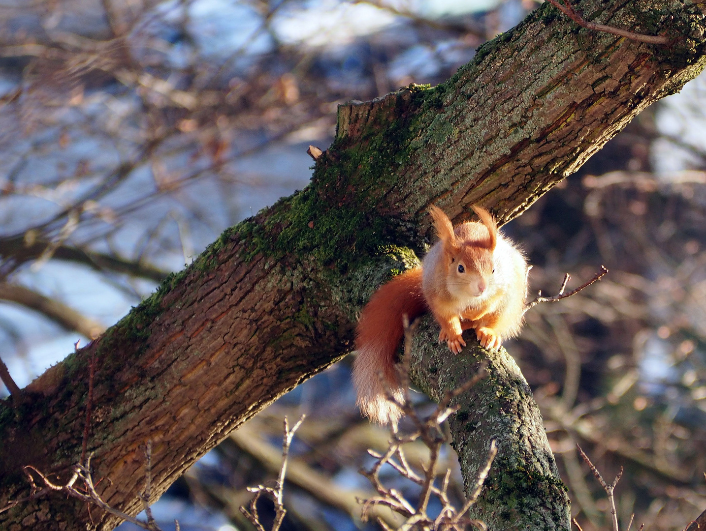 WInd von rechts