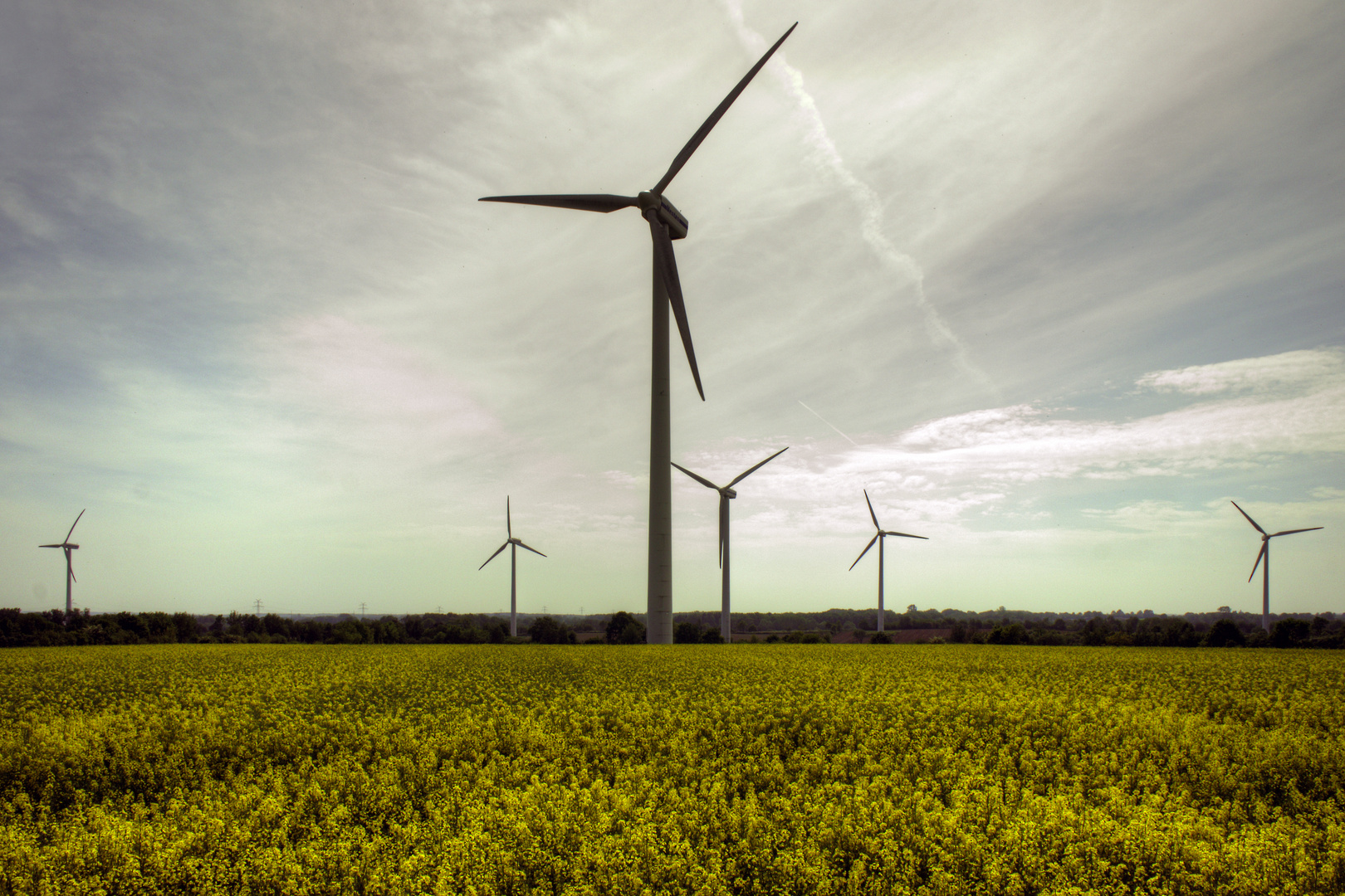 Wind- vs. Bioenergie