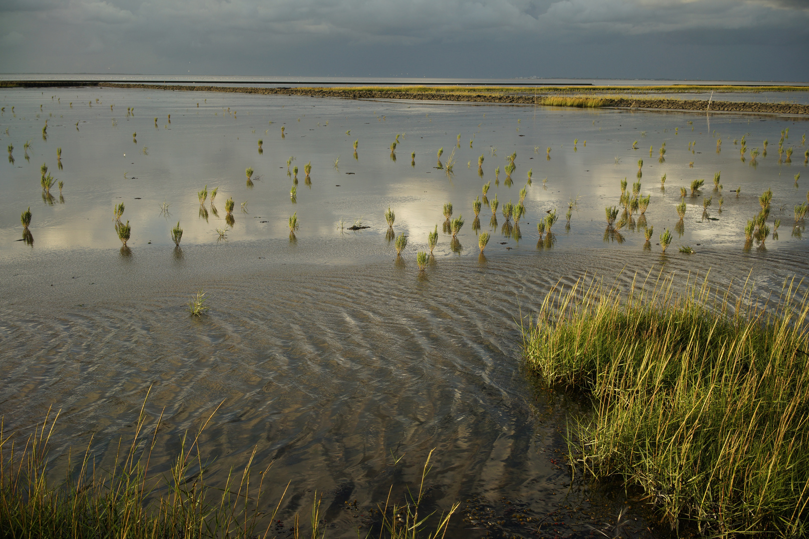 Wind Wasser Queller