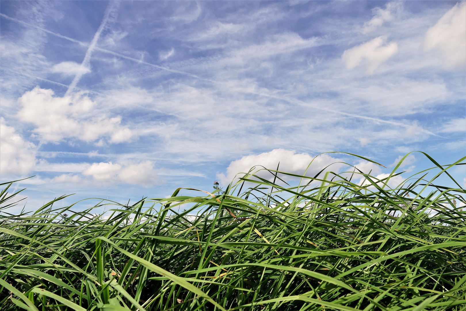 Wind & Wetter