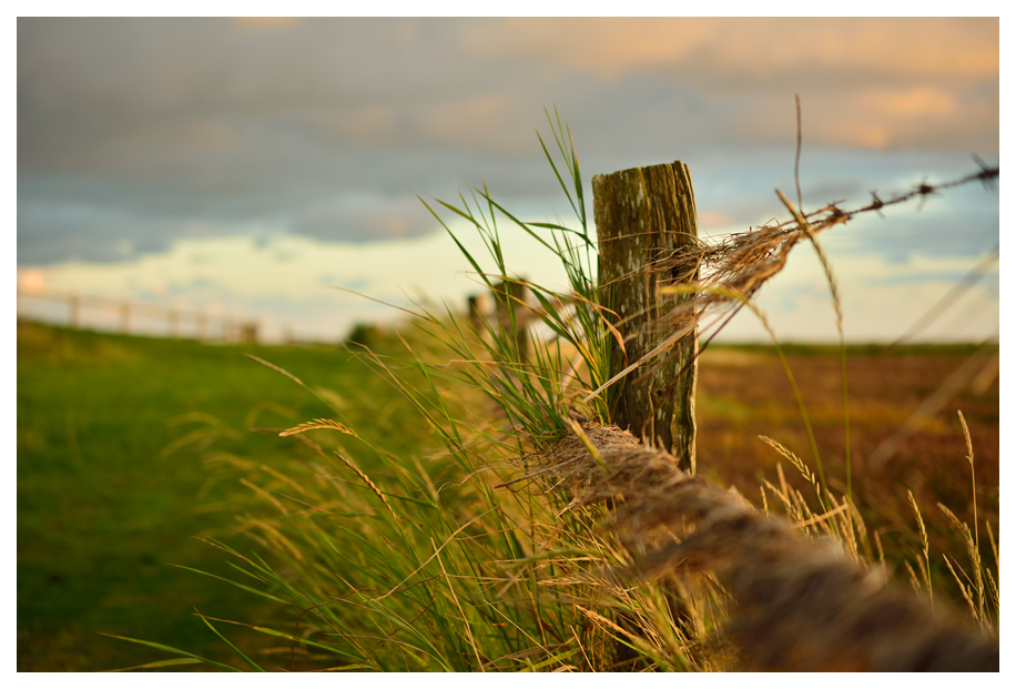 ~ Wind & Wetter ~