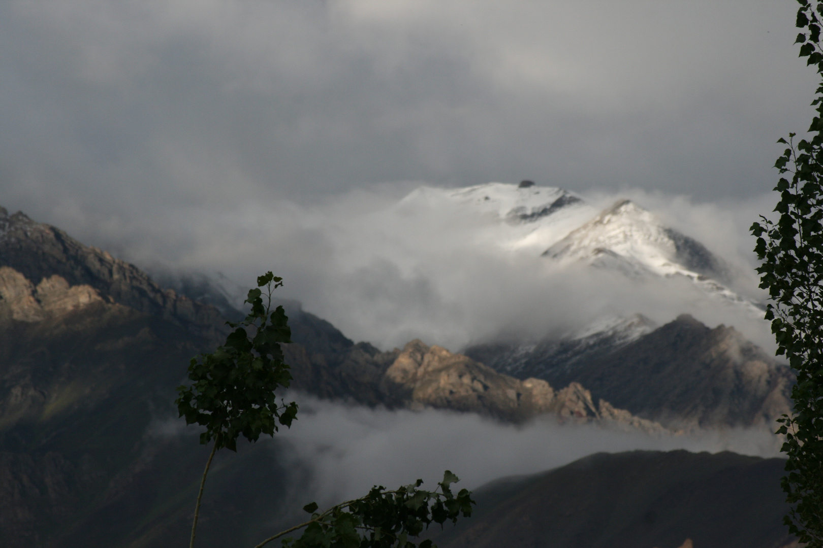 Wind, Wolken und Bäume in Ladakh - 1