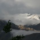 Wind, Wolken und Bäume in Ladakh - 1