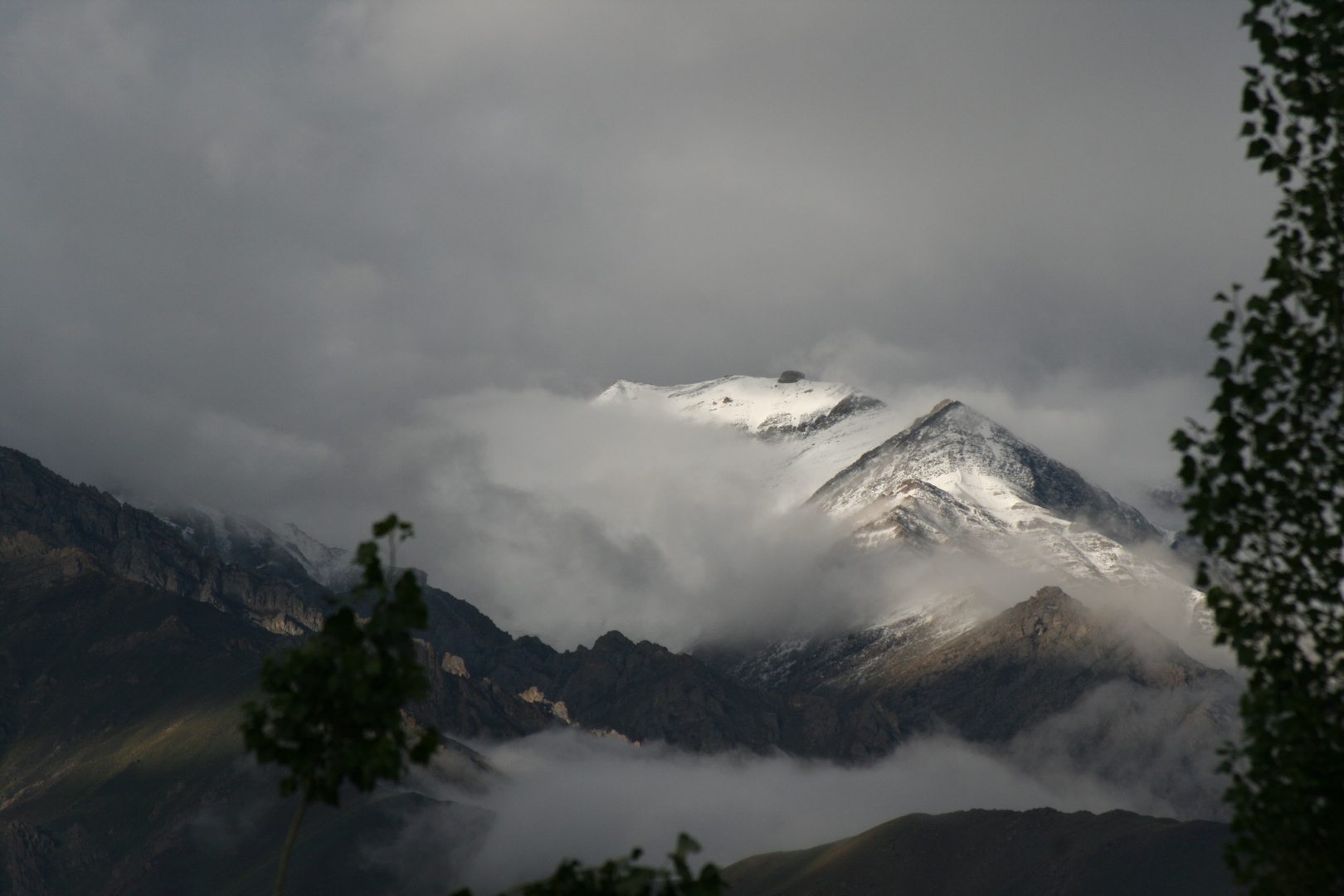 Wind, Wolken und Bäume in Ladakh - 2