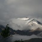 Wind, Wolken und Bäume in Ladakh - 2