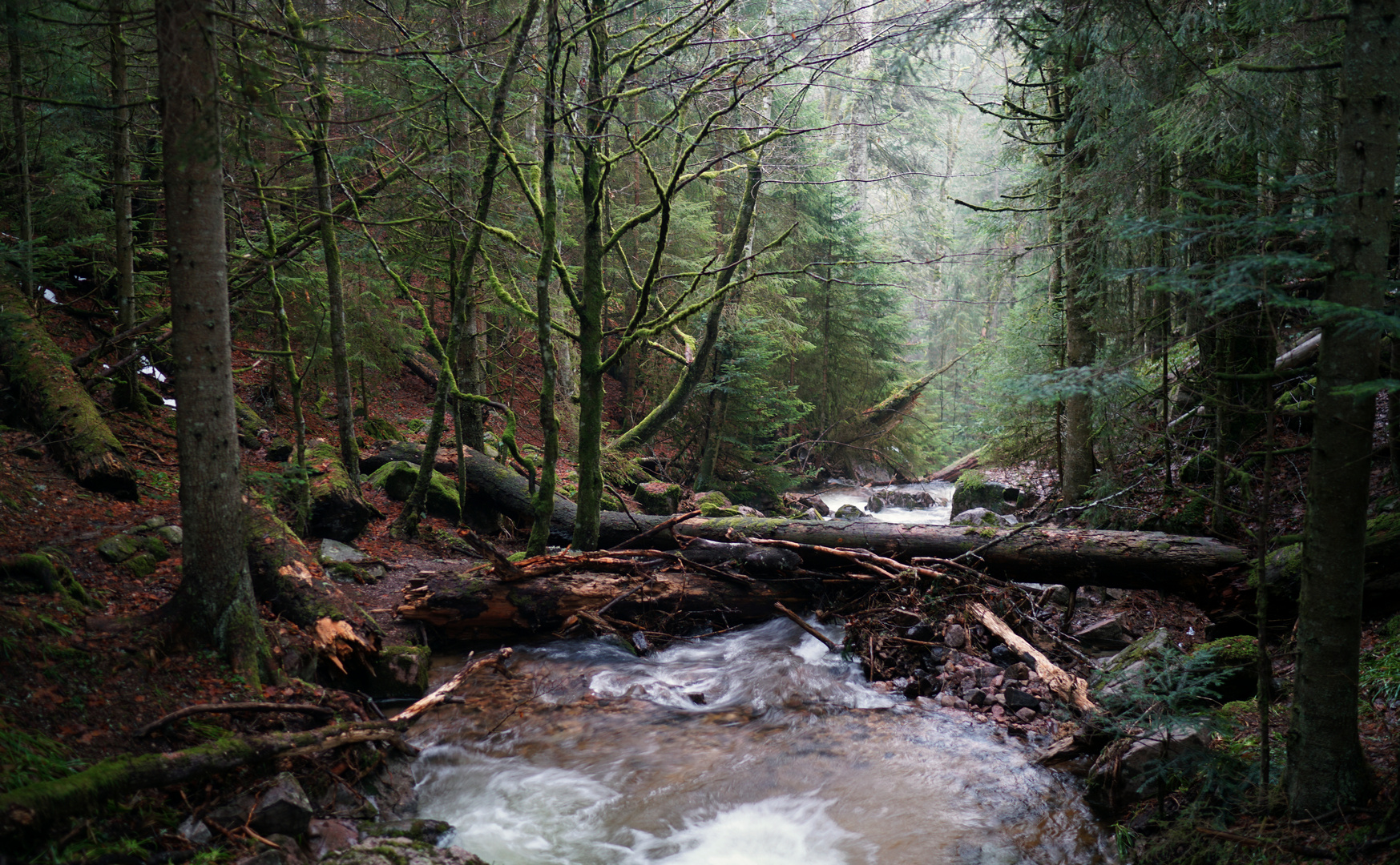 Windbergschlucht