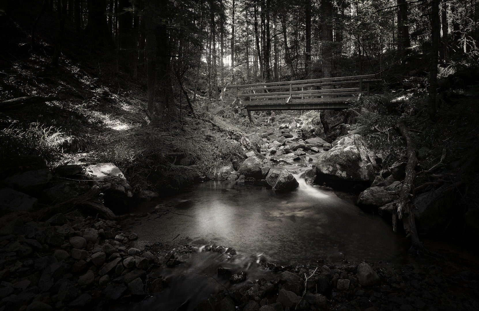 Windbergschlucht in s/w