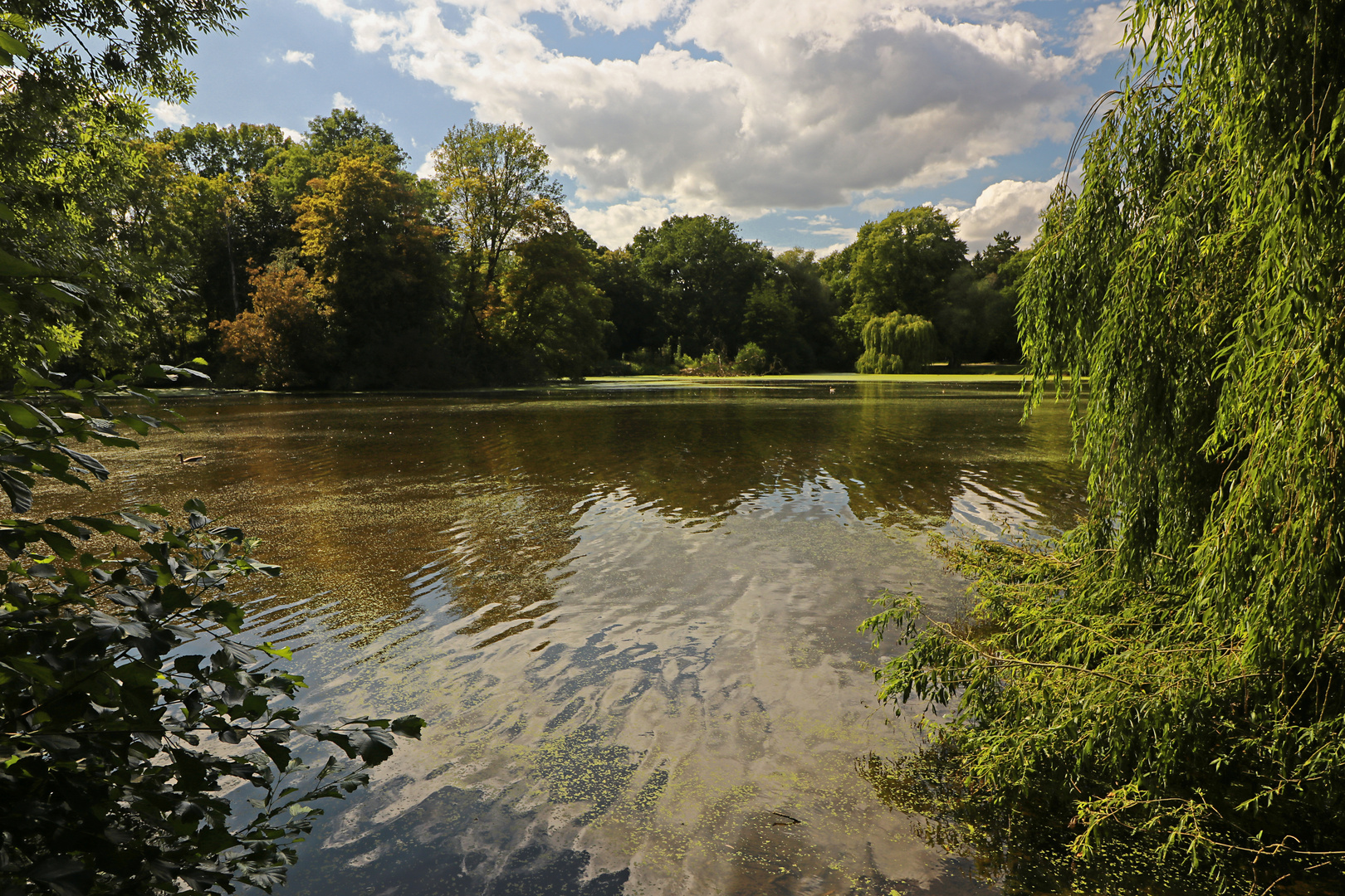 Windbewegtes Wasser