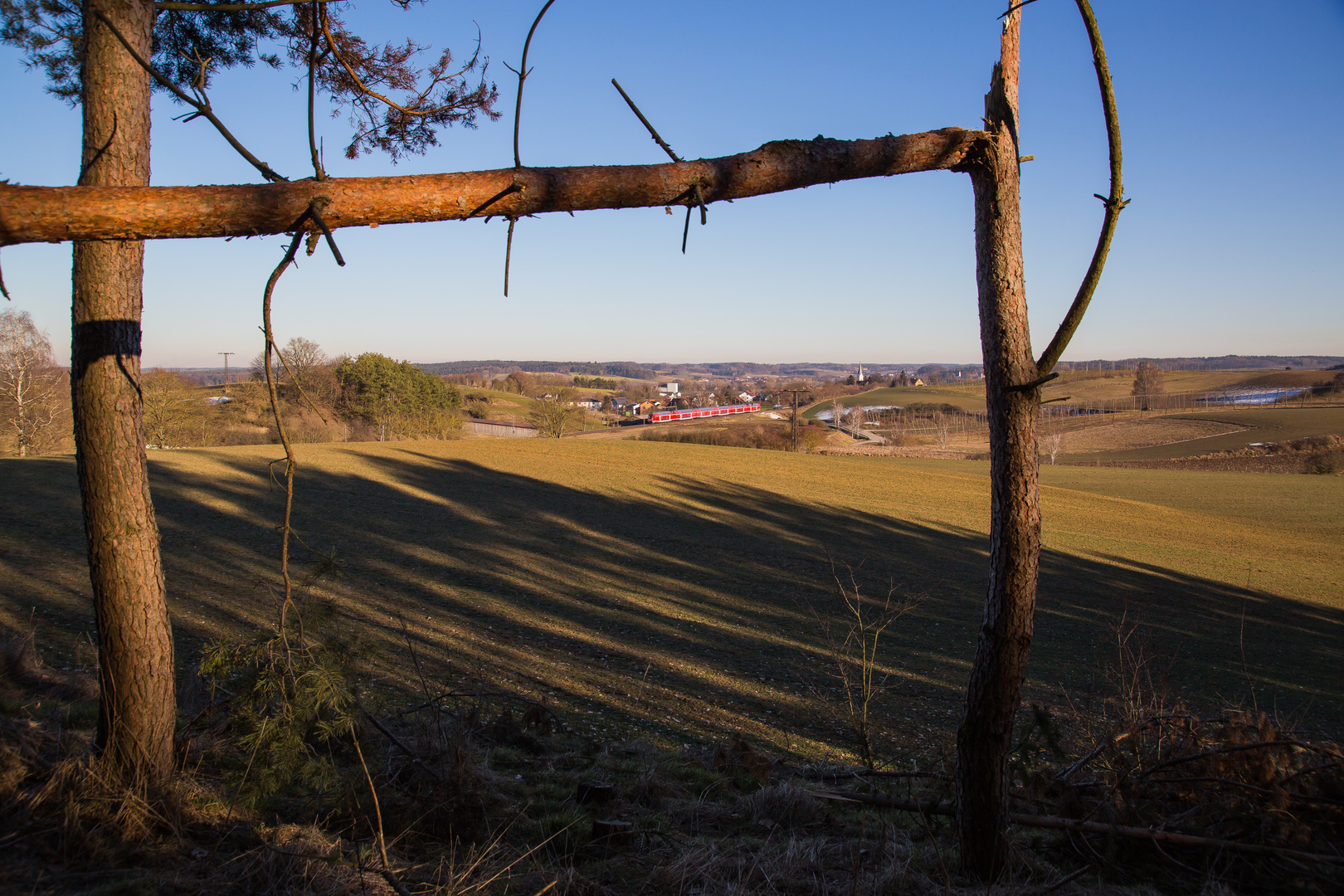 Windbruch