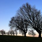 windbuchen