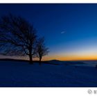 Windbuchen auf dem Schauinsland