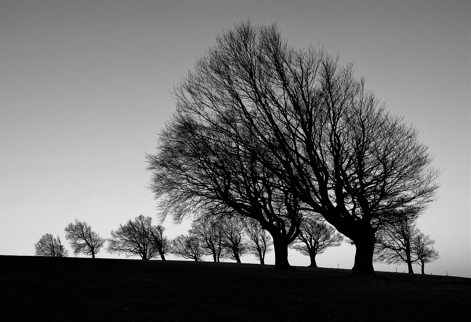 windbuchen