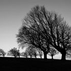 windbuchen