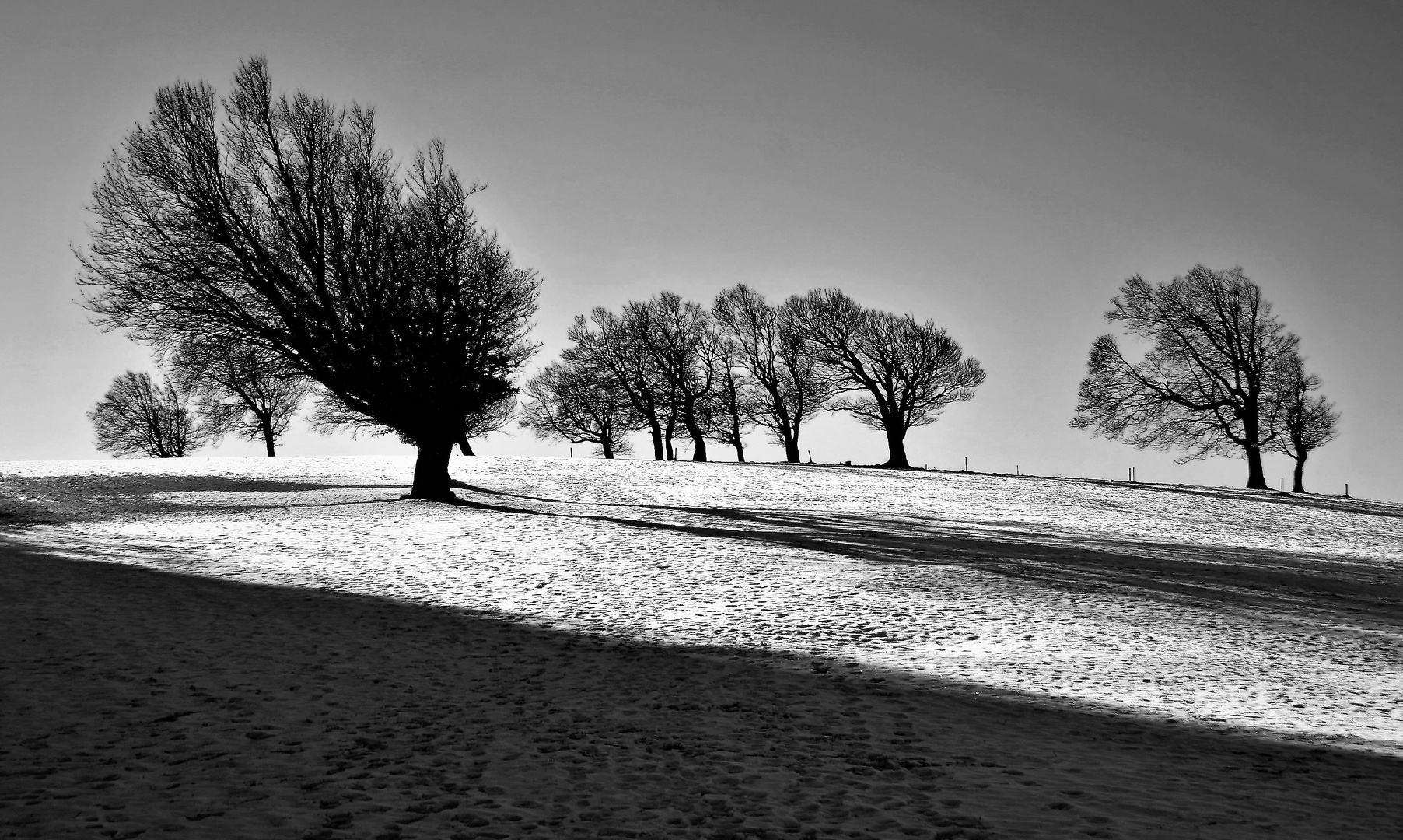 windbuchen