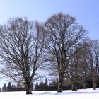 Windbuchen - Hofsgrund