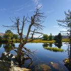 Windebensee an der Nockalmstrasse