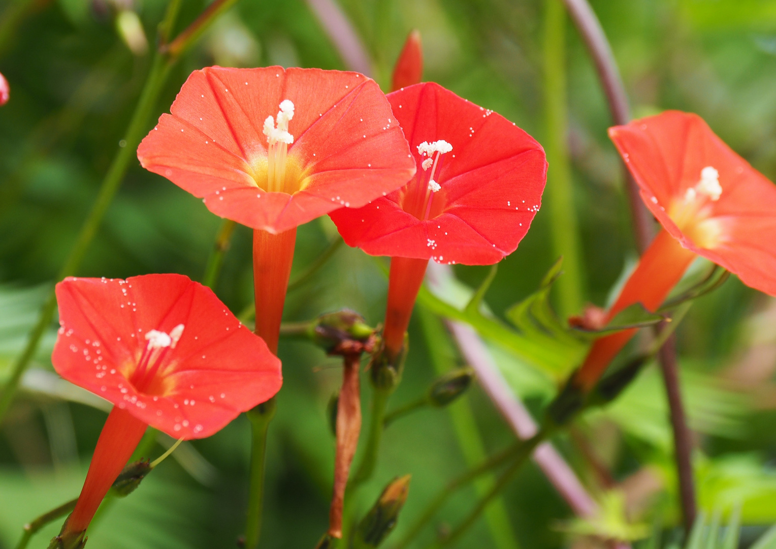 Winden Foto & Bild europe, france, paris Bilder auf