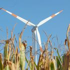 Windenergie im Herbst am Niederrhein