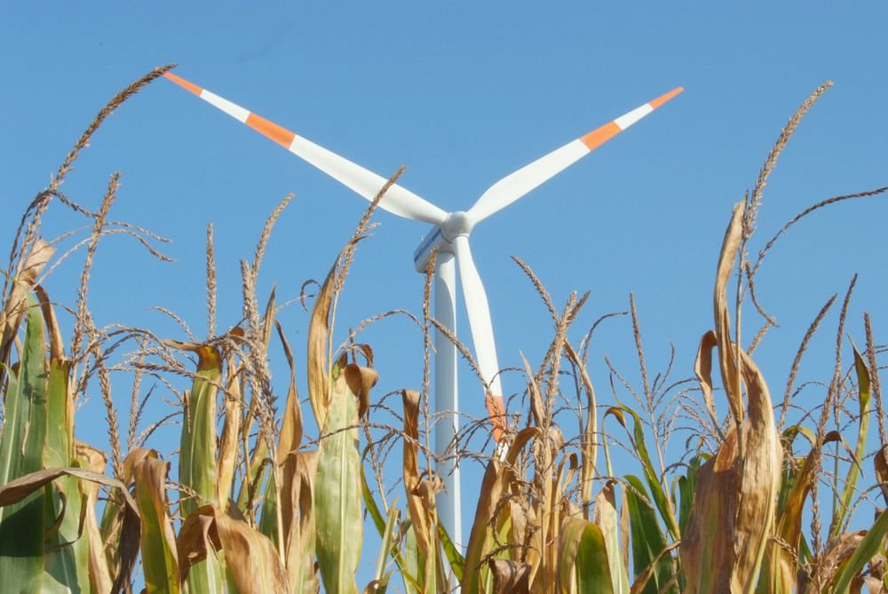 Windenergie im Herbst am Niederrhein