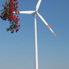 Windenergie im Herbst