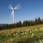 Windenergie im Jura