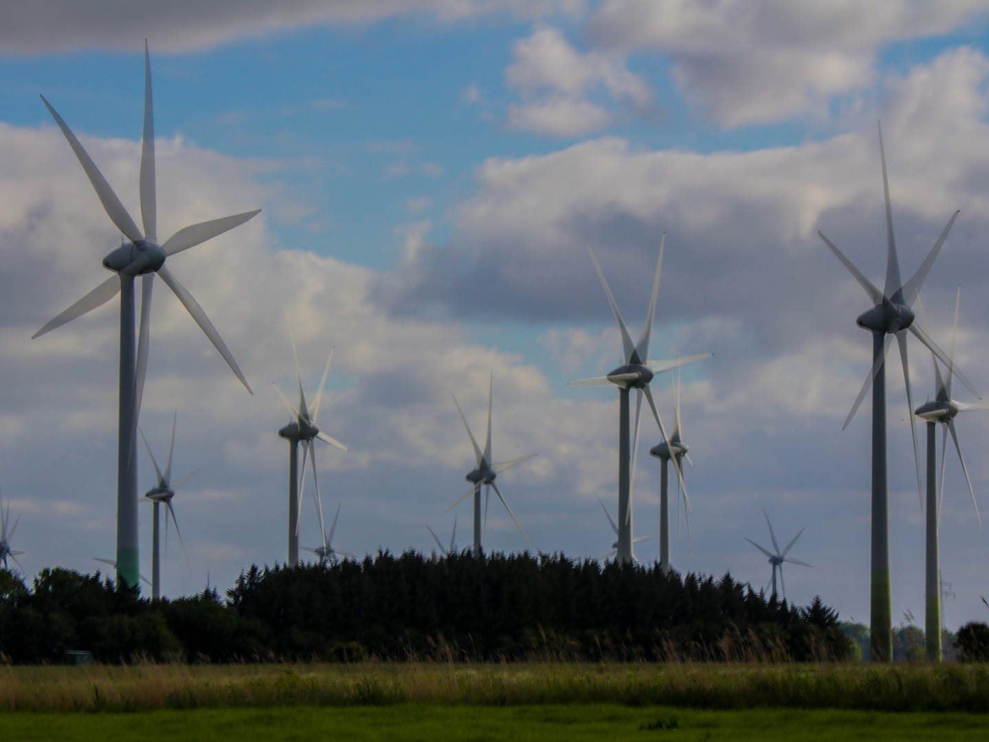 Windenergie in Bewegung