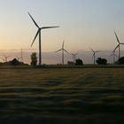 Windenergie in der Lünbeburger Heide