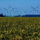 Windenergie, oder: Wie verschandele ich die Nordseeküste