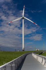 Windenergie trifft Müllberg