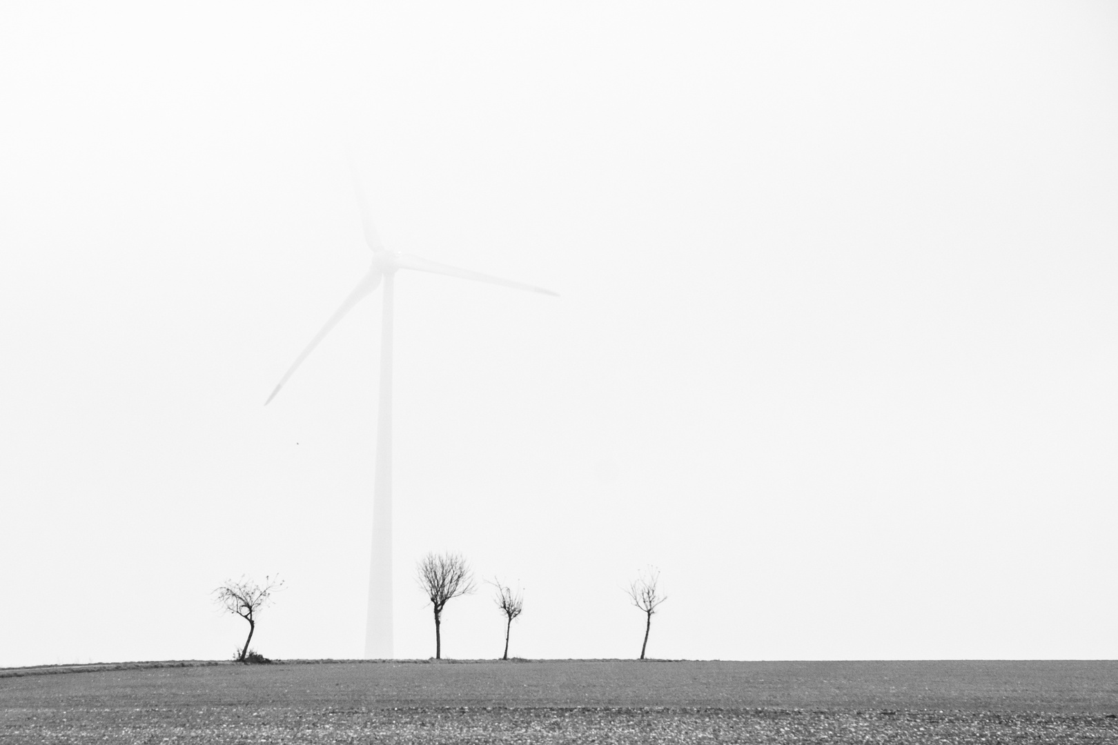 Windenergie und Natur