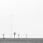 Windenergie und Natur