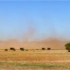 "Winderosion" - Westaustralien, 2008