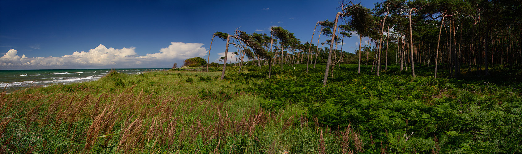 Windflucht